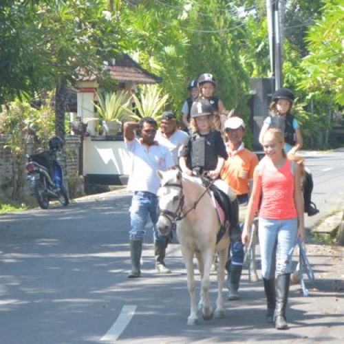 Royal Sporthorse Bali Village tours