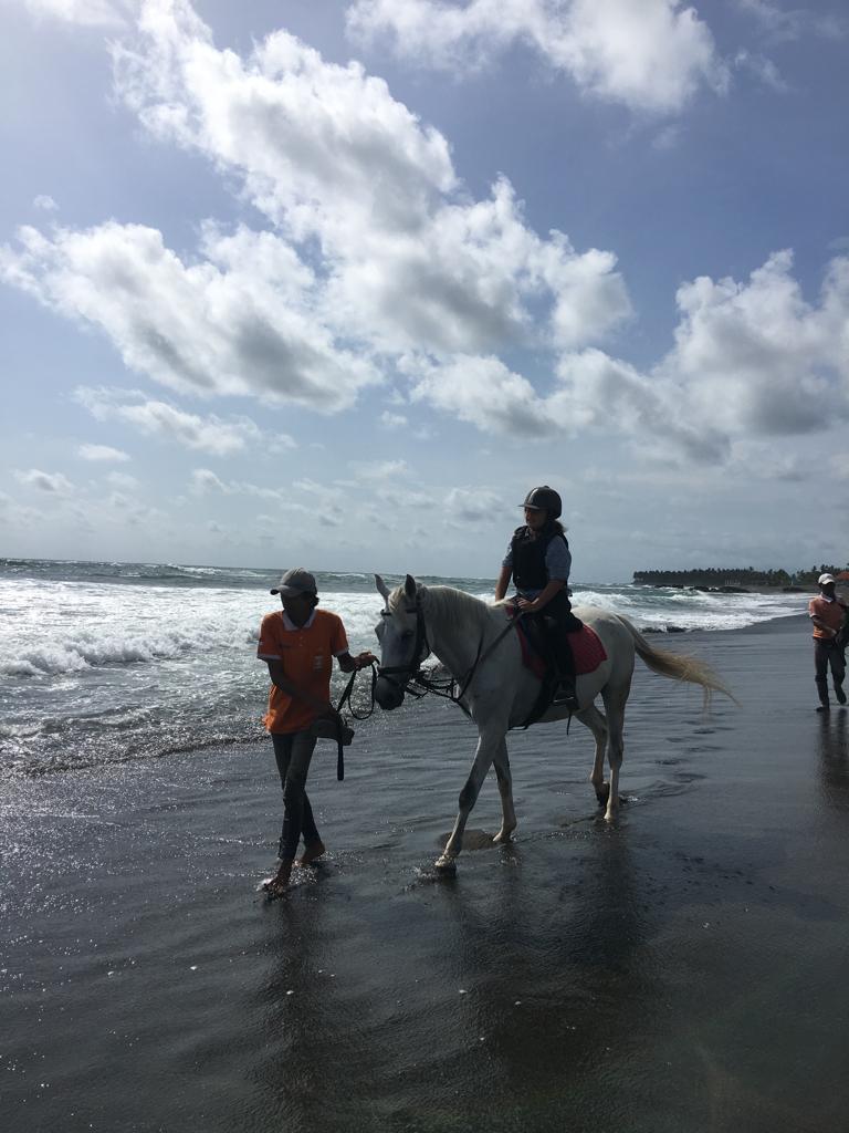 horse_beach_rides